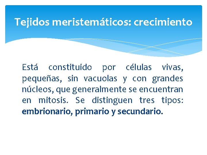 Tejidos meristemáticos: crecimiento Está constituido por células vivas, pequeñas, sin vacuolas y con grandes