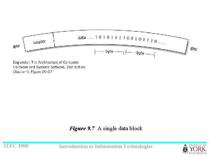 Figure 9. 7 A single data block ITEC 1000 Introduction to Information Technologies 