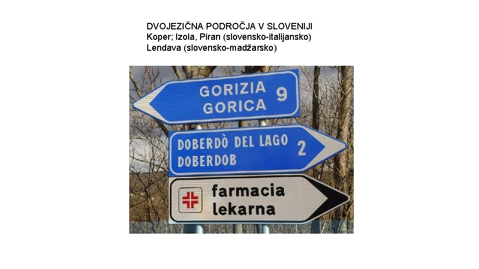 DVOJEZIČNA PODROČJA V SLOVENIJI Koper; Izola, Piran (slovensko-italijansko) Lendava (slovensko-madžarsko) 