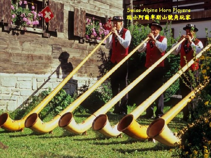 Swiss Alpine Horn Players 瑞士阿爾卑斯山號角玩家 
