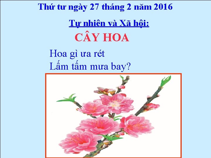 Thứ tư ngày 27 tháng 2 năm 2016 Tự nhiên và Xã hội: C