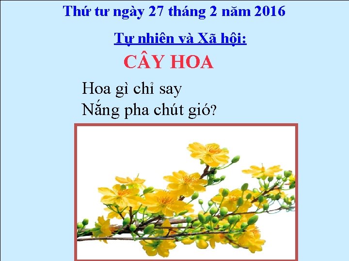 Thứ tư ngày 27 tháng 2 năm 2016 Tự nhiên và Xã hội: C