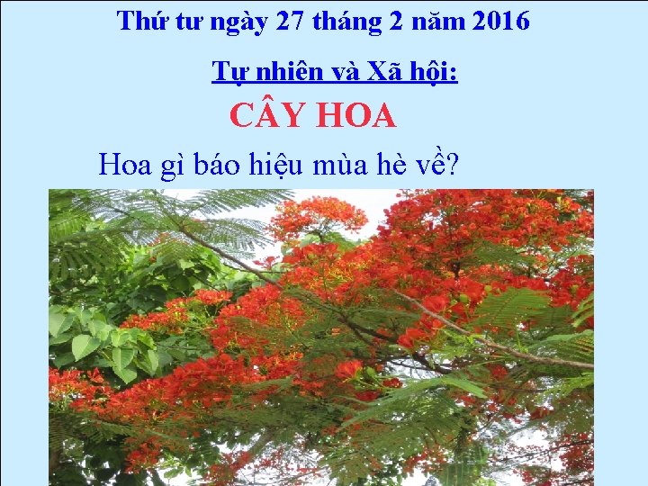 Thứ tư ngày 27 tháng 2 năm 2016 Tự nhiên và Xã hội: C