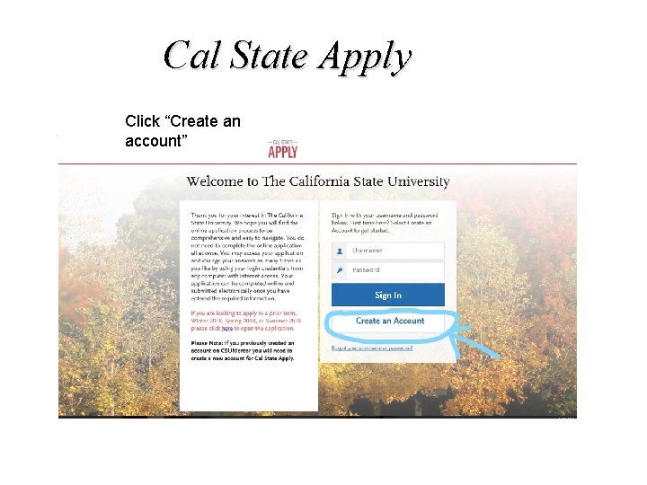 Cal State Apply Click “Create an account” 