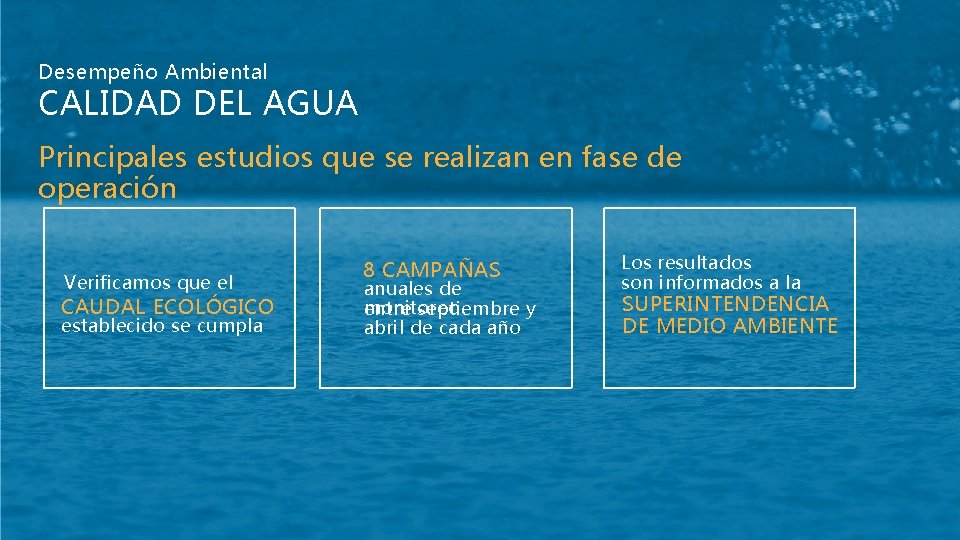 Desempeño Ambiental CALIDAD DEL AGUA Principales estudios que se realizan en fase de operación