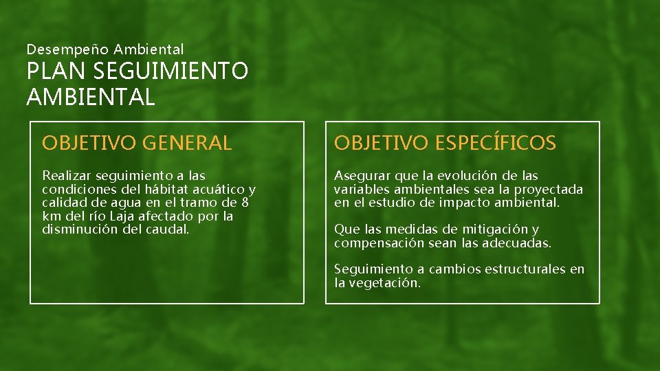 Desempeño Ambiental PLAN SEGUIMIENTO AMBIENTAL OBJETIVO GENERAL OBJETIVO ESPECÍFICOS Realizar seguimiento a las condiciones