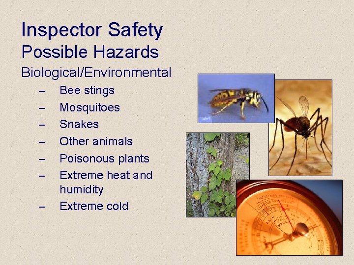 Inspector Safety Possible Hazards Biological/Environmental – – – – Bee stings Mosquitoes Snakes Other