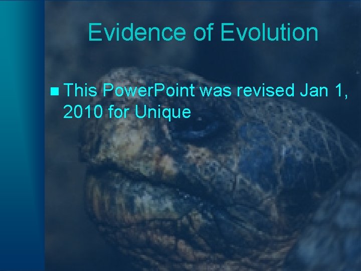 Evidence of Evolution n This Power. Point was revised Jan 1, 2010 for Unique