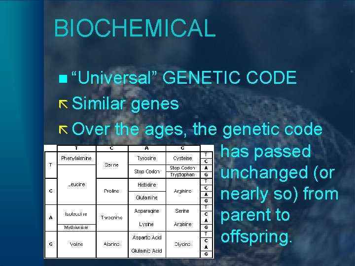 BIOCHEMICAL n “Universal” GENETIC CODE ã Similar genes ã Over the ages, the genetic