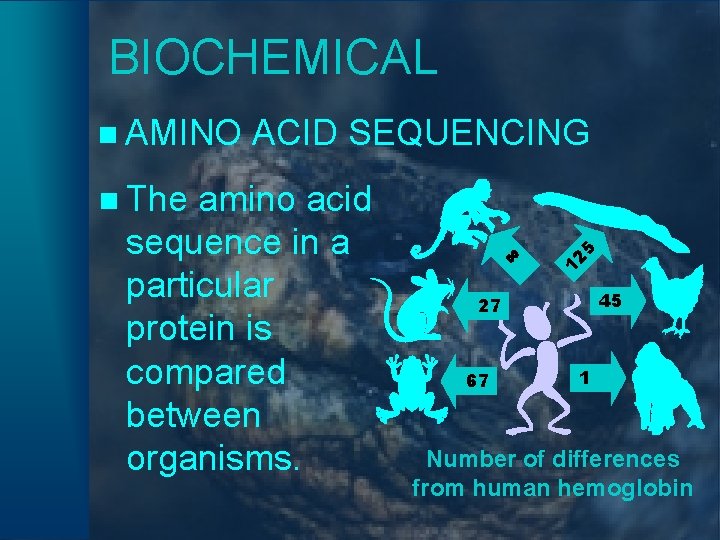 BIOCHEMICAL n AMINO ACID SEQUENCING 12 8 amino acid sequence in a particular protein