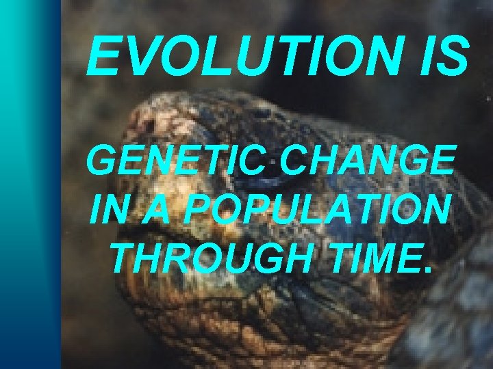 EVOLUTION IS GENETIC CHANGE IN A POPULATION THROUGH TIME. 