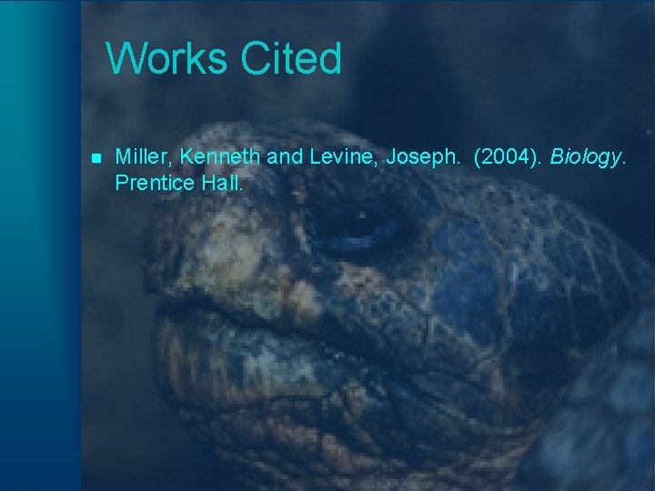 Works Cited n Miller, Kenneth and Levine, Joseph. (2004). Biology. Prentice Hall. 