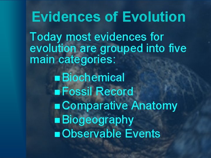 Evidences of Evolution Today most evidences for evolution are grouped into five main categories: