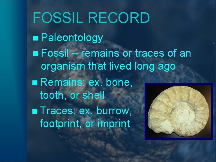 FOSSIL RECORD n Paleontology n Fossil – remains or traces of an organism that