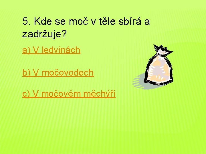 5. Kde se moč v těle sbírá a zadržuje? a) V ledvinách b) V