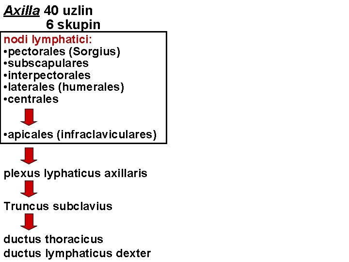 Axilla 40 uzlin 6 skupin nodi lymphatici: • pectorales (Sorgius) • subscapulares • interpectorales