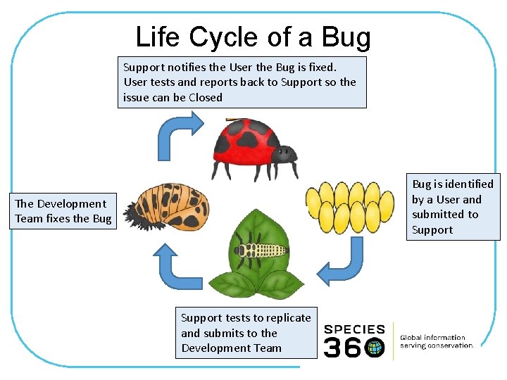 Life Cycle of a Bug Support notifies the User the Bug is fixed. User