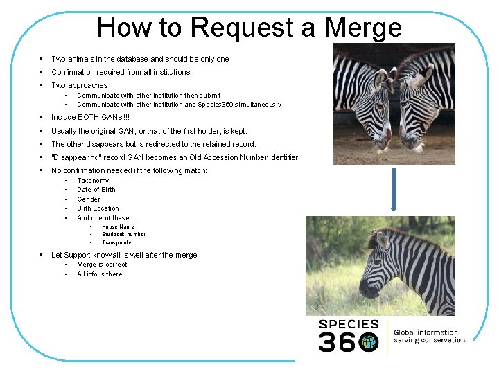 How to Request a Merge • Two animals in the database and should be