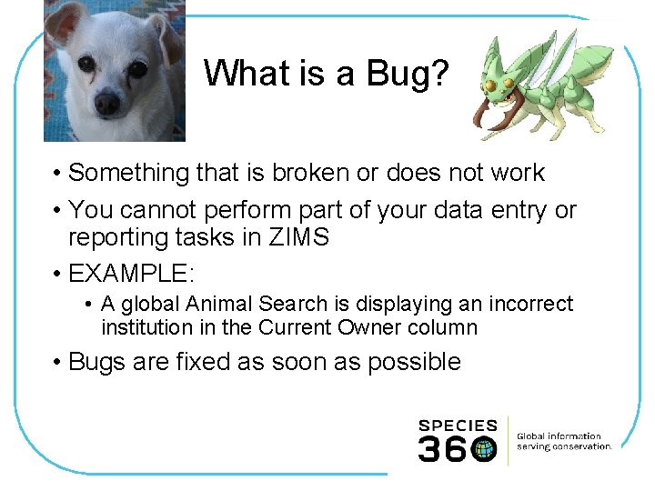 What is a Bug? • Something that is broken or does not work •