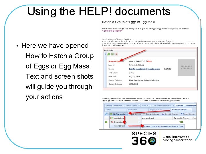 Using the HELP! documents • Here we have opened How to Hatch a Group