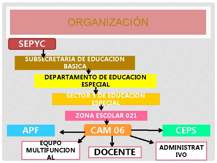 ORGANIZACIÓN SEPYC SUBSECRETARIA DE EDUCACION BASICA DEPARTAMENTO DE EDUCACION ESPECIAL SECTOR 5 DE EDUCACION ORGANIZACIÓN SEPYC SUBSECRETARIA DE EDUCACION BASICA DEPARTAMENTO DE EDUCACION ESPECIAL SECTOR 5 DE EDUCACION