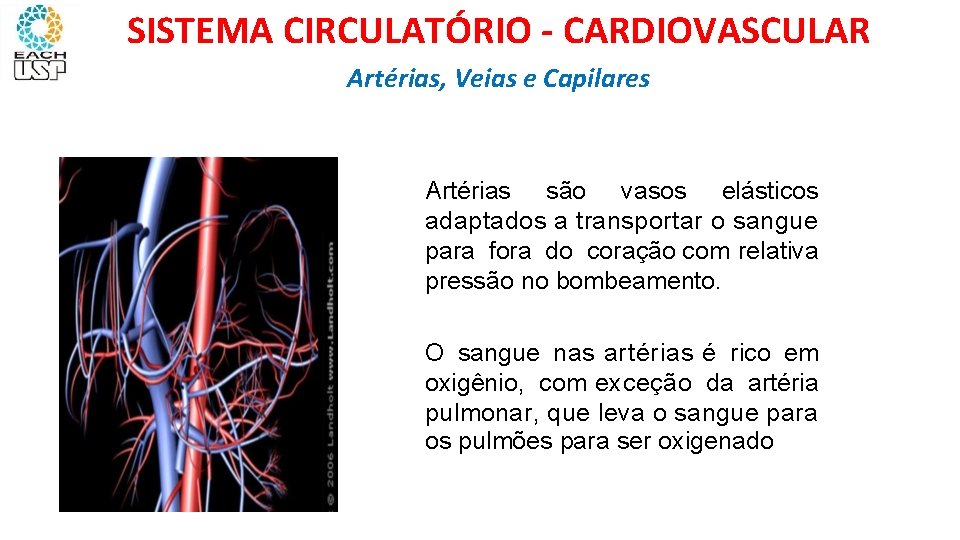 SISTEMA CIRCULATÓRIO - CARDIOVASCULAR Artérias, Veias e Capilares IAS Artérias são vasos elásticos adaptados