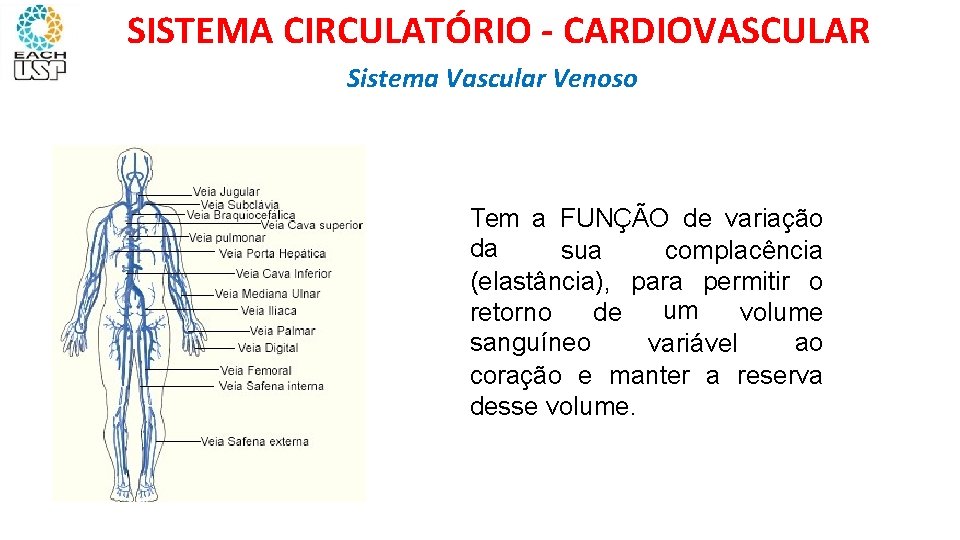 SISTEMA CIRCULATÓRIO - CARDIOVASCULAR Sistema Vascular Venoso SISTEMA VASCULAR VENOSO Tem a FUNÇÃO de