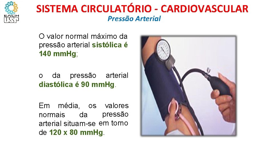 SISTEMA CIRCULATÓRIO - CARDIOVASCULAR Pressão Arterial O valor normal máximo da pressão arterial sistólica