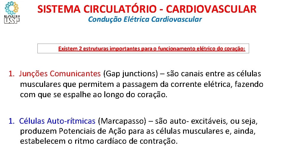 SISTEMA CIRCULATÓRIO - CARDIOVASCULAR Condução Elétrica Cardiovascular Existem 2 estruturas importantes para o funcionamento