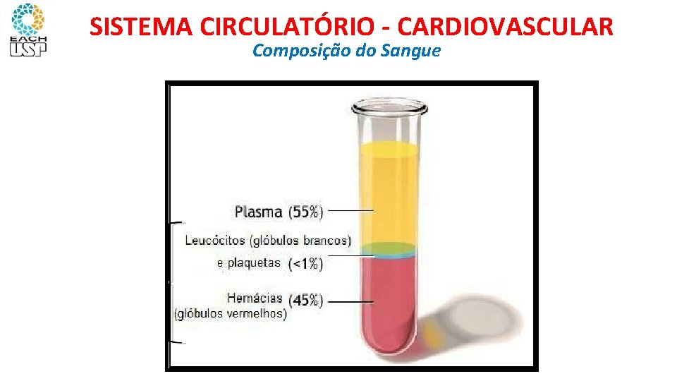 SISTEMA CIRCULATÓRIO - CARDIOVASCULAR Composição do Sangue 