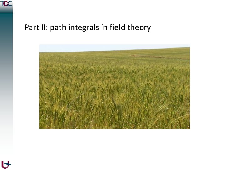 Part II: path integrals in field theory 