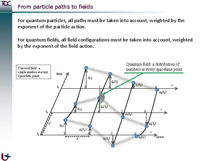 From particle paths to fields For quantum particles, all paths must be taken into