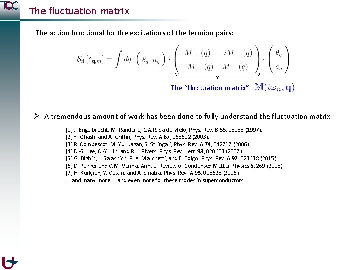 The fluctuation matrix The action functional for the excitations of the fermion pairs: The