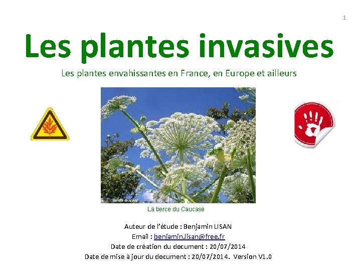 1 Les plantes invasives Les plantes envahissantes en France, en Europe et ailleurs La