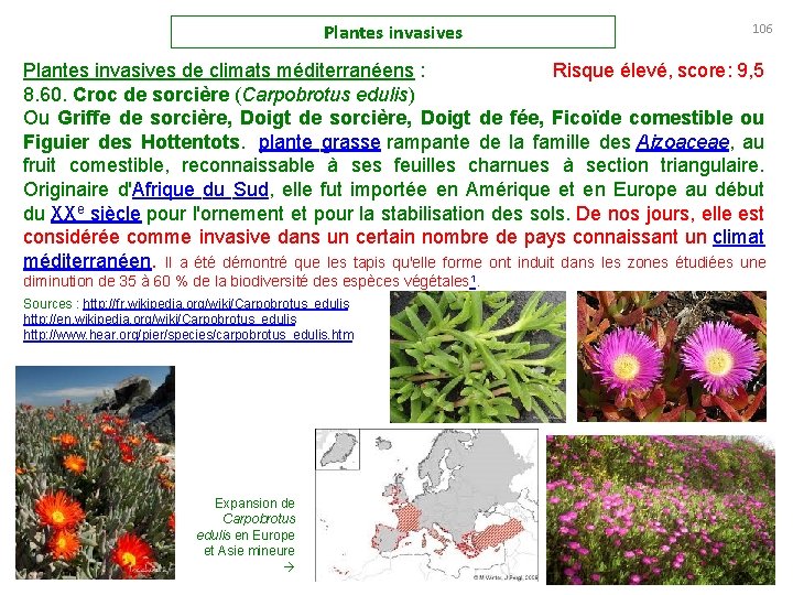 Plantes invasives 106 Plantes invasives de climats méditerranéens : Risque élevé, score: 9, 5