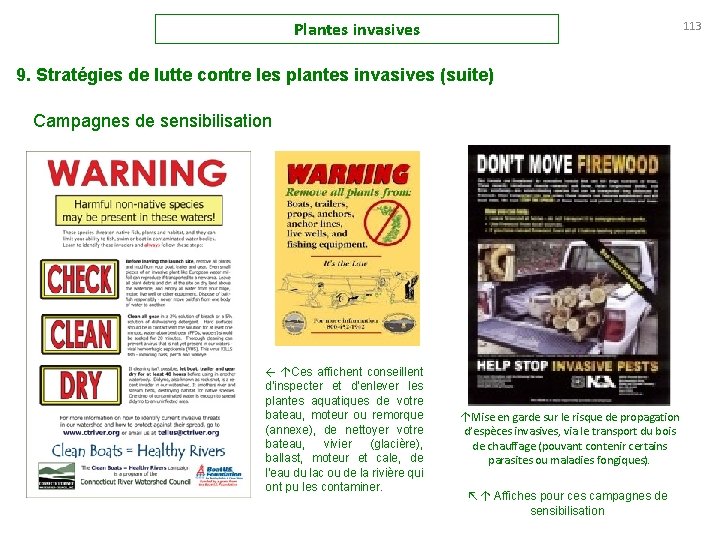 Plantes invasives 113 9. Stratégies de lutte contre les plantes invasives (suite) Campagnes de