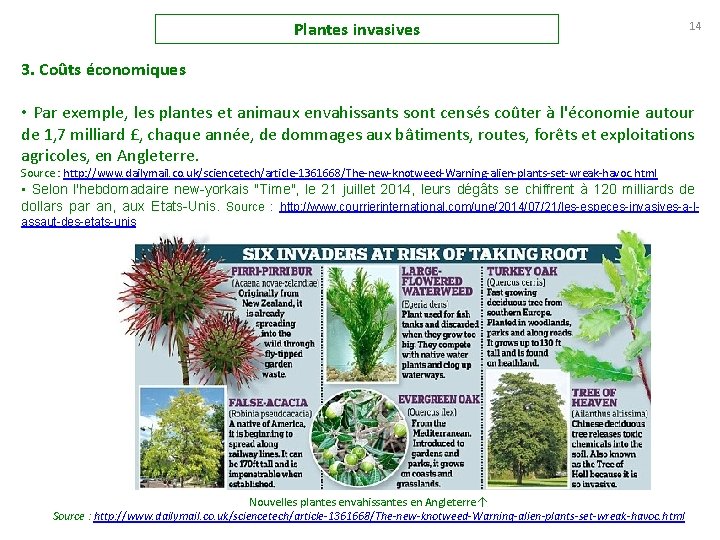 Plantes invasives 14 3. Coûts économiques • Par exemple, les plantes et animaux envahissants