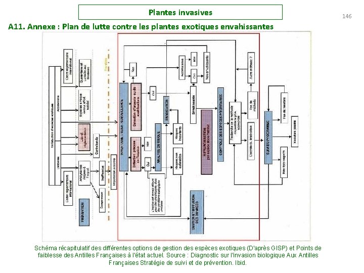 Plantes invasives A 11. Annexe : Plan de lutte contre les plantes exotiques envahissantes