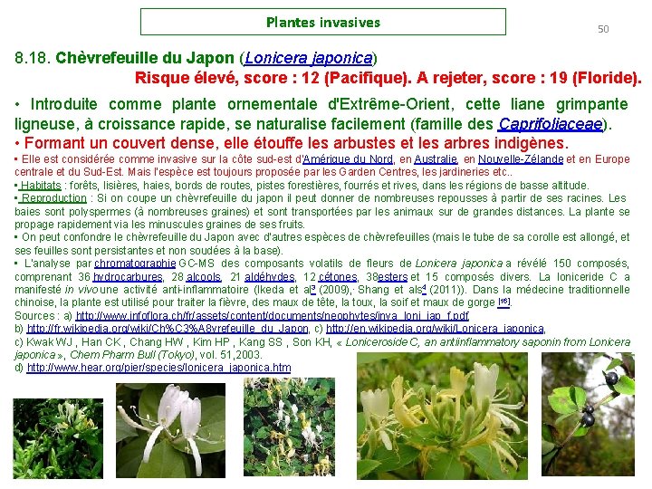 Plantes invasives 50 8. 18. Chèvrefeuille du Japon (Lonicera japonica) Risque élevé, score :