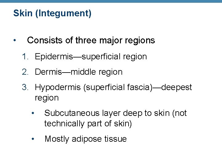 Skin (Integument) • Consists of three major regions 1. Epidermis—superficial region 2. Dermis—middle region