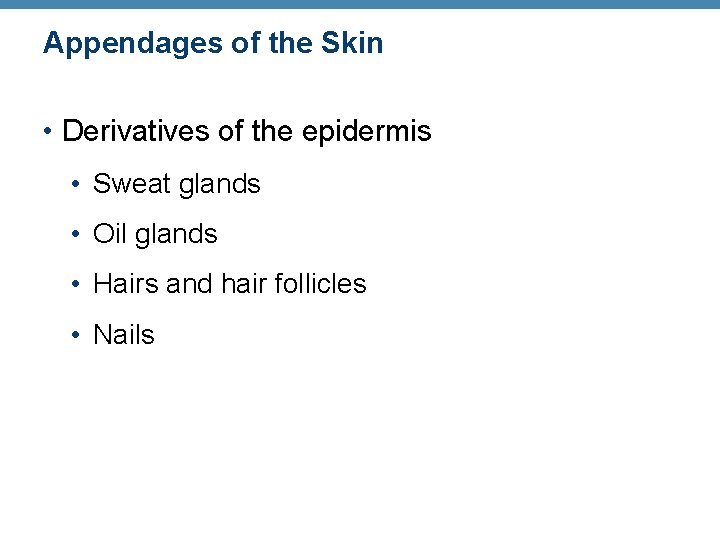 Appendages of the Skin • Derivatives of the epidermis • Sweat glands • Oil