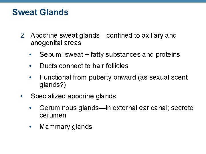 Sweat Glands 2. Apocrine sweat glands—confined to axillary and anogenital areas • • Sebum: