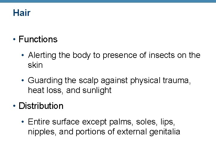 Hair • Functions • Alerting the body to presence of insects on the skin