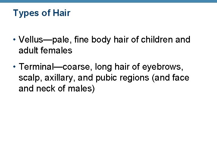 Types of Hair • Vellus—pale, fine body hair of children and adult females •