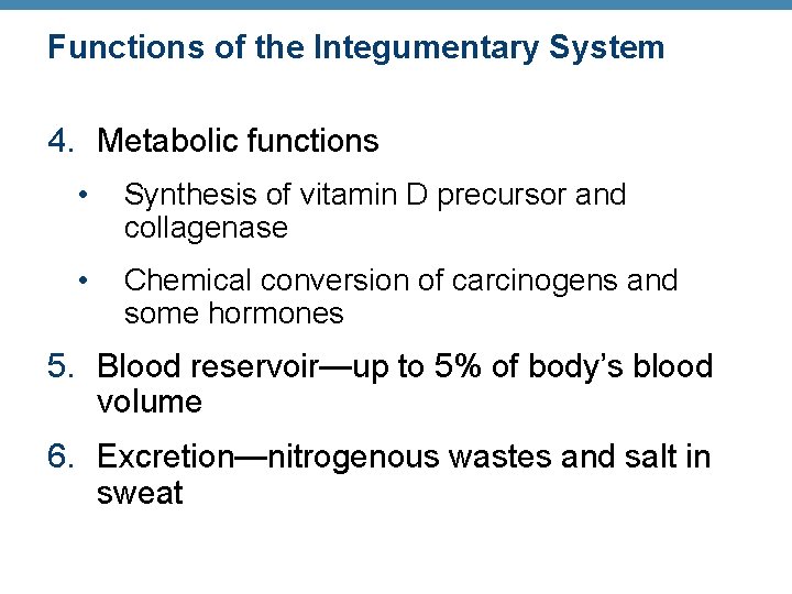 Functions of the Integumentary System 4. Metabolic functions • Synthesis of vitamin D precursor