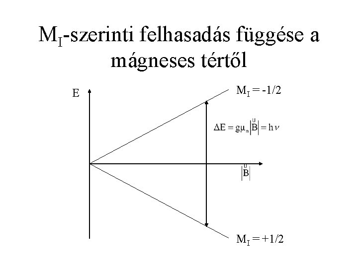 MI-szerinti felhasadás függése a mágneses tértől E MI = -1/2 MI = +1/2 