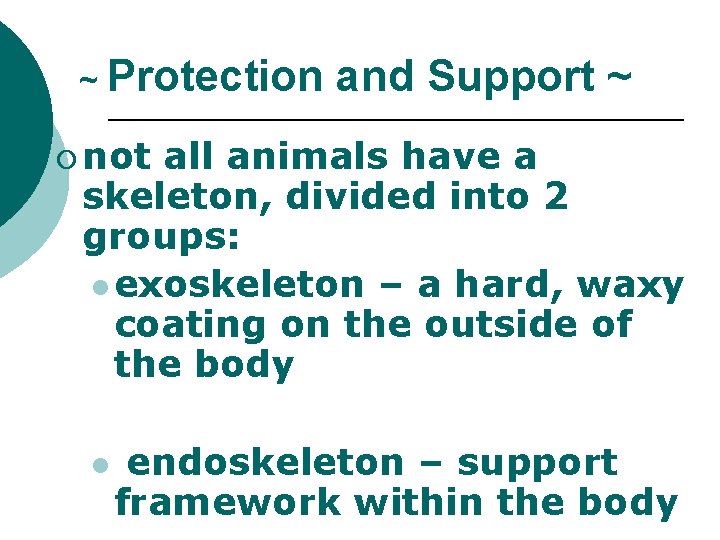 ~ Protection and Support ~ ¡ not all animals have a skeleton, divided into