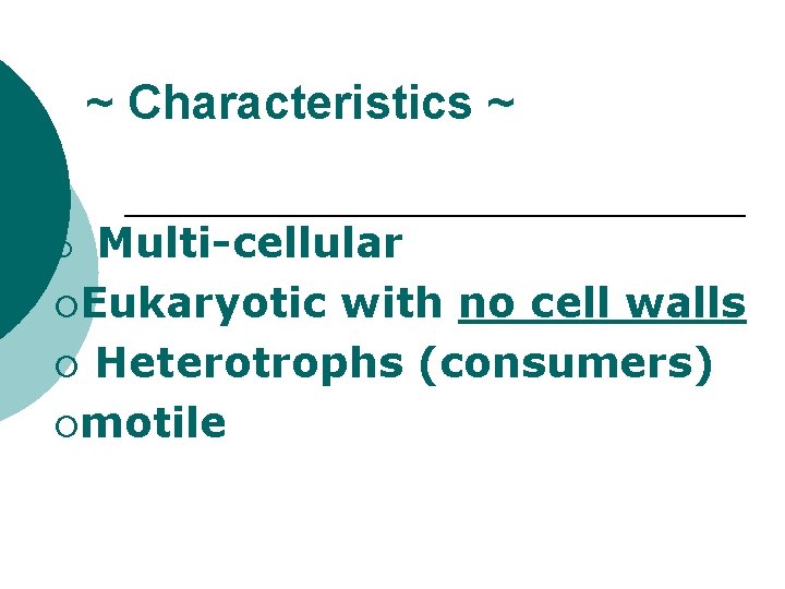 ~ Characteristics ~ Multi-cellular ¡Eukaryotic with no cell walls ¡ Heterotrophs (consumers) ¡motile ¡