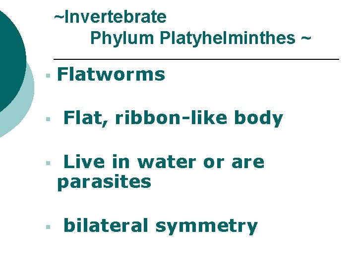 ~Invertebrate Phylum Platyhelminthes ~ § § Flatworms Flat, ribbon-like body Live in water or