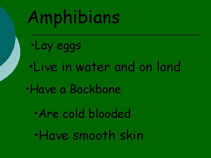 Amphibians • Lay eggs • Live in water and on land • Have a